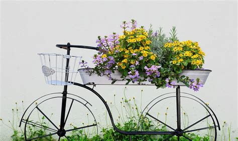 Hanceville Metal White Bicycle Planter Box